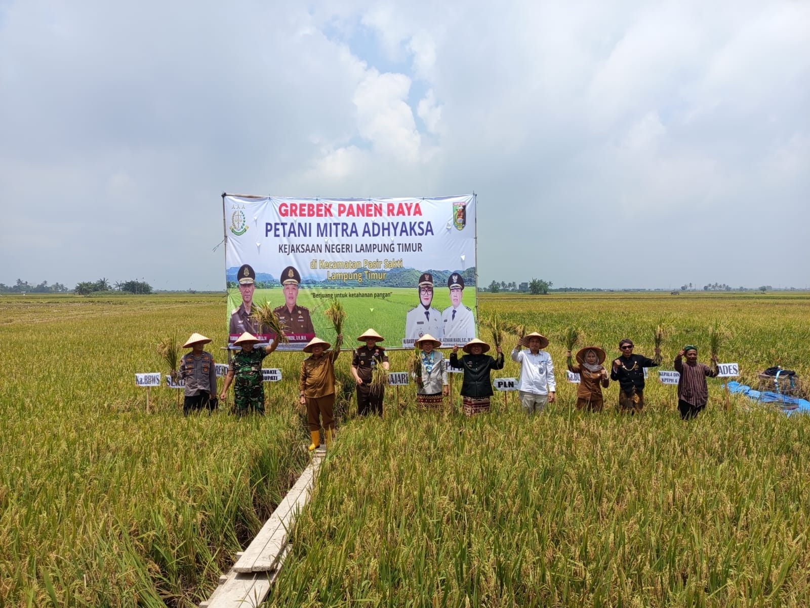 kejati-lampung-gelar-grebek-panen-raya-petani-mitra-adhyaksa-di-lampung-timur